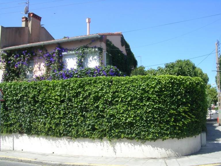 Casa  Perpiñán