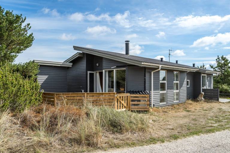 Ferienhaus mit Hund in Klitmøller fuer max. 6 Personen