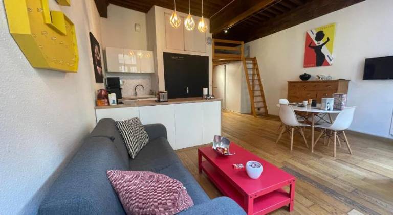 Holiday apartment | Next to Place Bellecour | Pet-friendly — photo 2