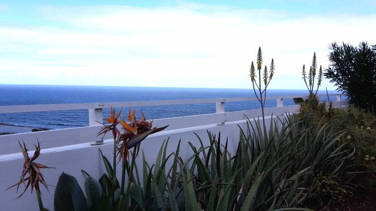 Casa Garachico