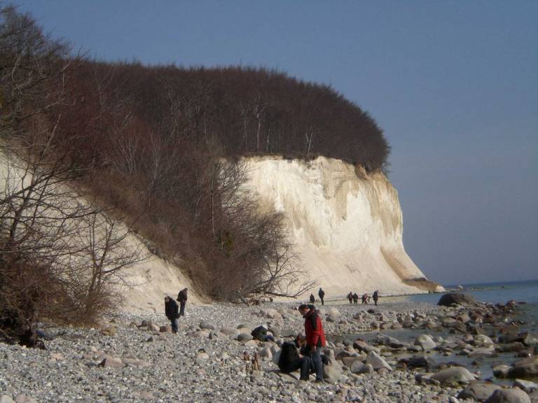 foto19