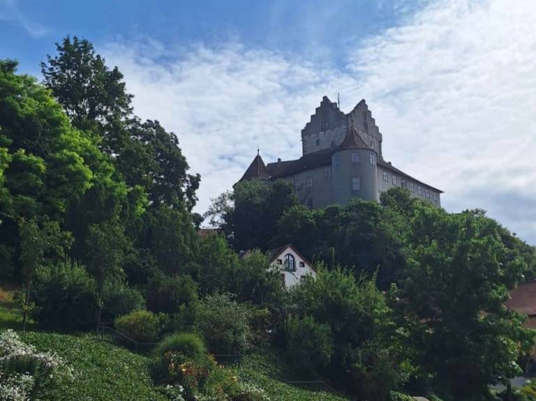 foto19