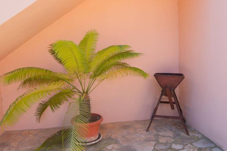 foto13
