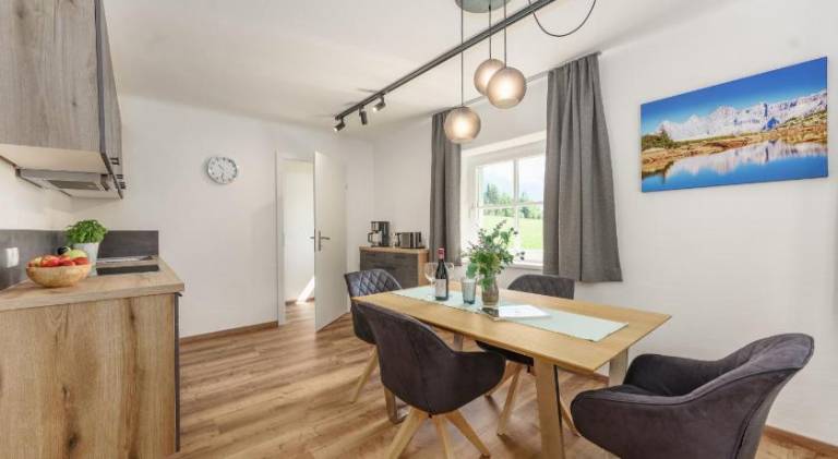 Beautiful rental apartment | Dogs allowed in Ramsau am Dachstein