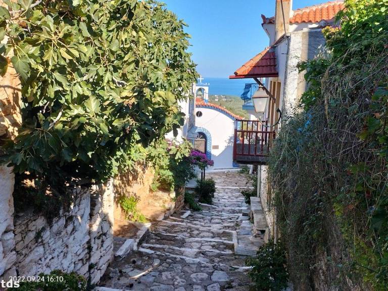 foto23