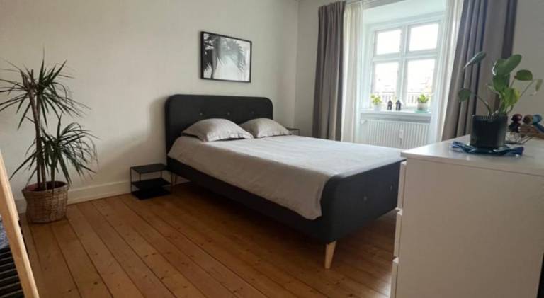 Nice rental apartment | Pets allowed — photo 2