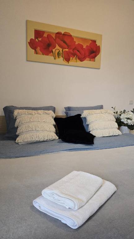 Unirii River View Suites — photo 5