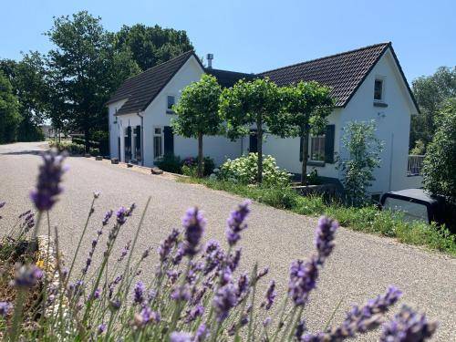 Bed & Breakfast Aalst