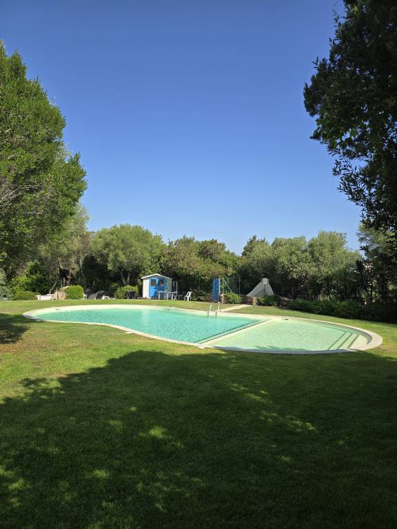 foto31
