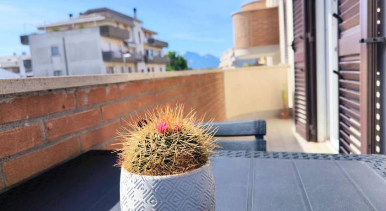 foto14