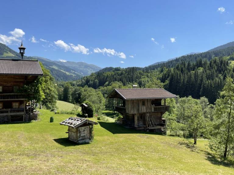 foto45