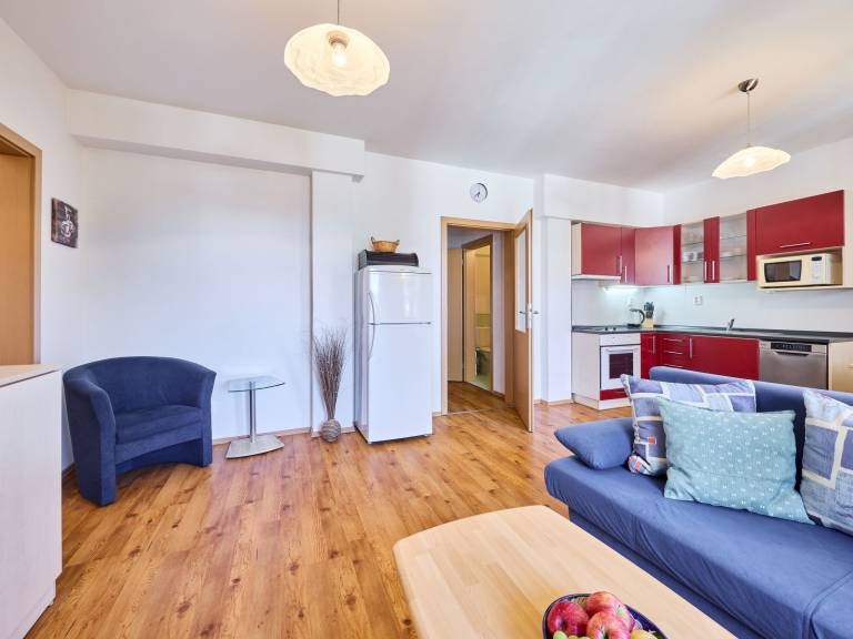 Apartment Harrachov
