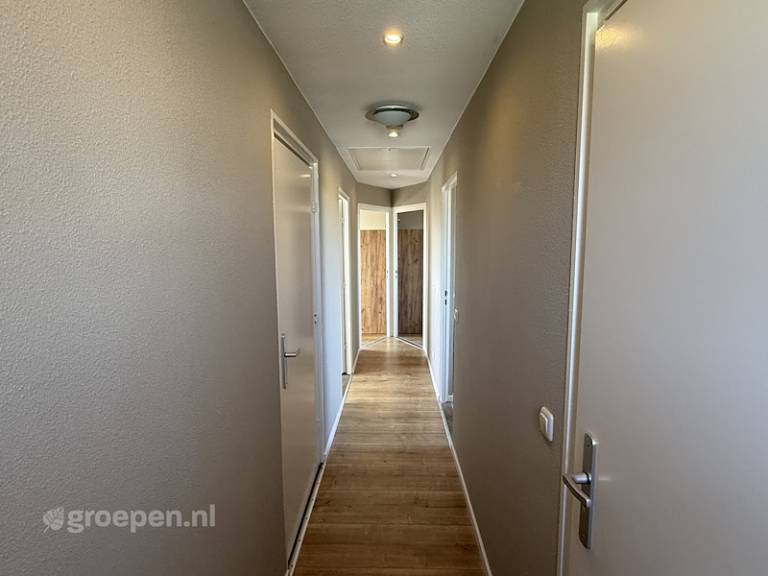 foto7