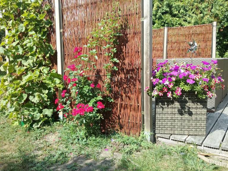 foto17