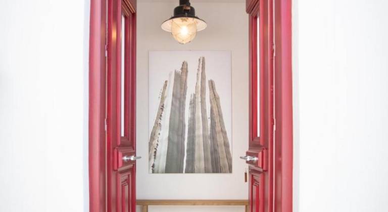 Rental apartment | Pets are welcome — photo 5