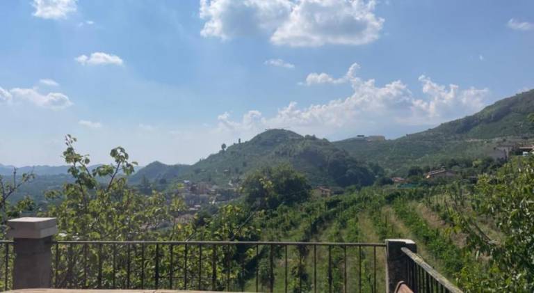 Silvia Miotto's Guesthouse — photo 5