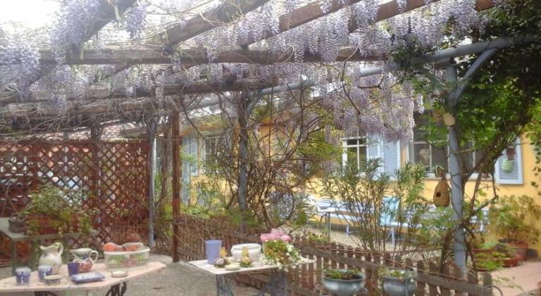 Lavanda e Rosmarino — photo 4