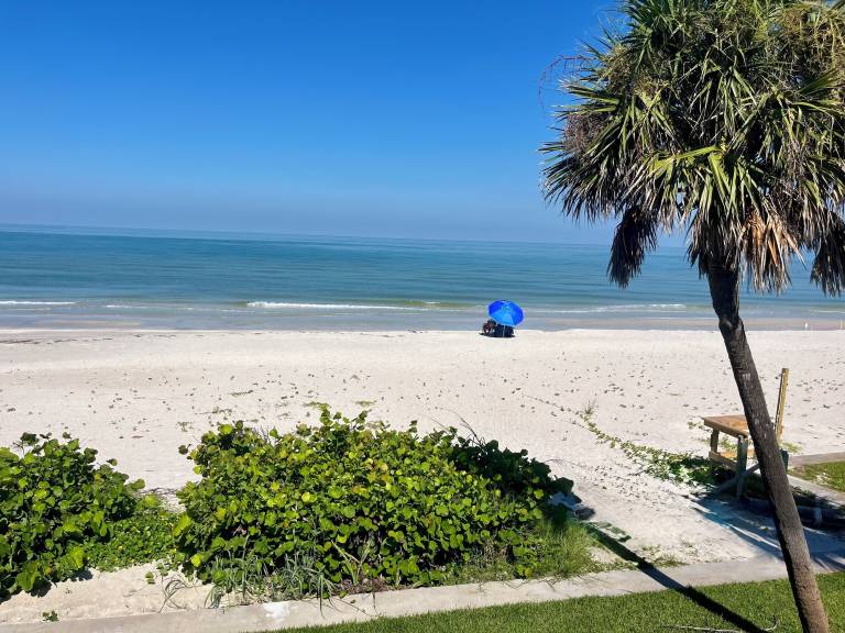 House Belleair Beach