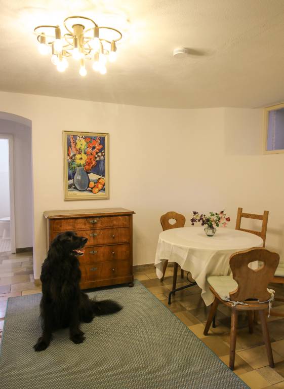 Ferienwohnung mit Hund in Wernleiten, Vorauf für max. 4 Personen Ferienwohnung mit Hund in Wernleiten, Vorauf für max. 4 Personen