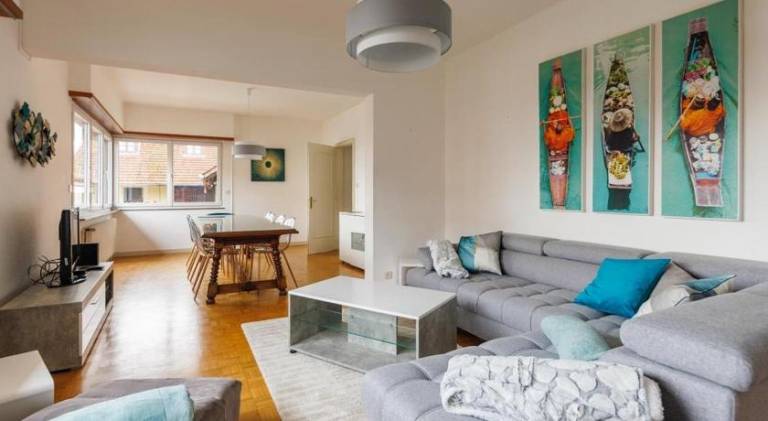 Big house | Pet-friendly in Sélestat