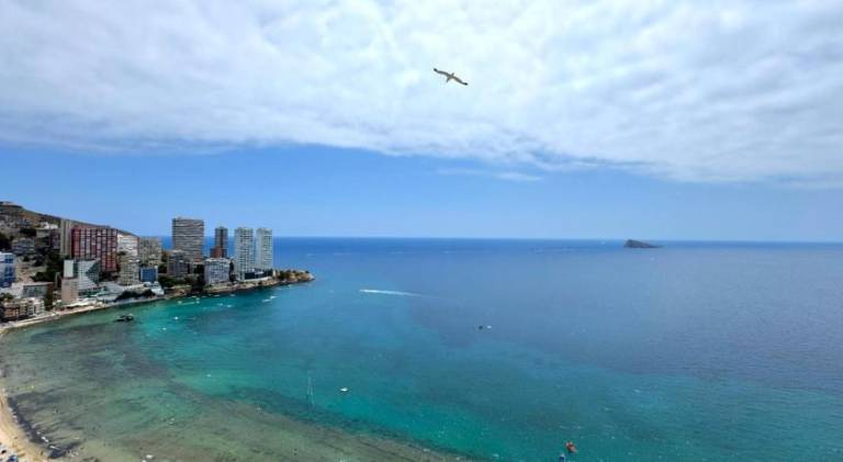 Apartment with pool in Benidorm