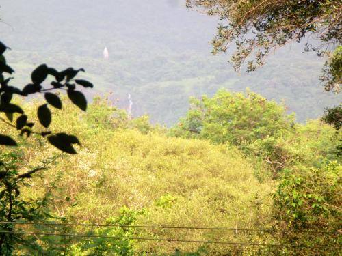 foto14