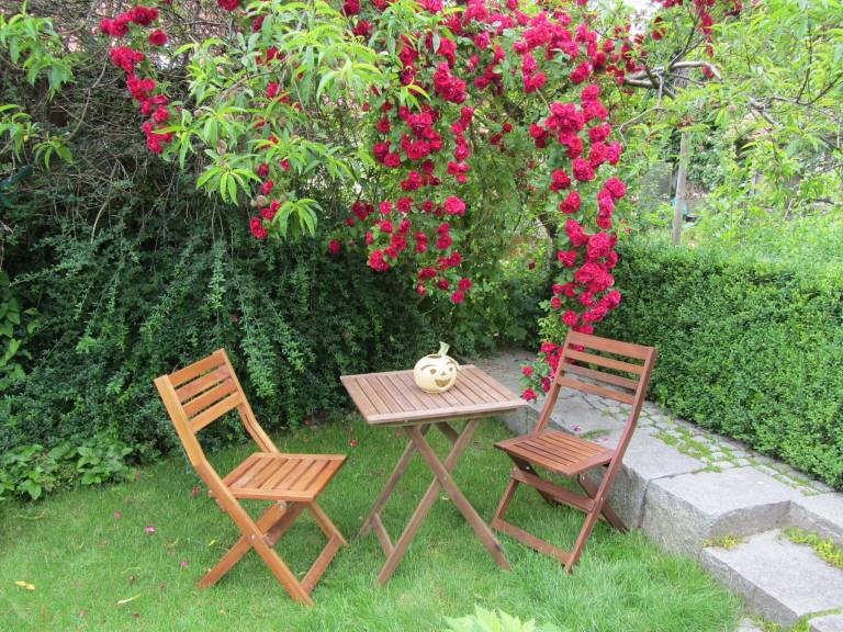 Nice holiday apartment | Dogs allowed — photo 2