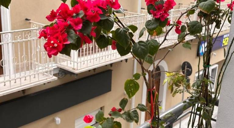 Appartamento vacanza Sant'Agata di Militello