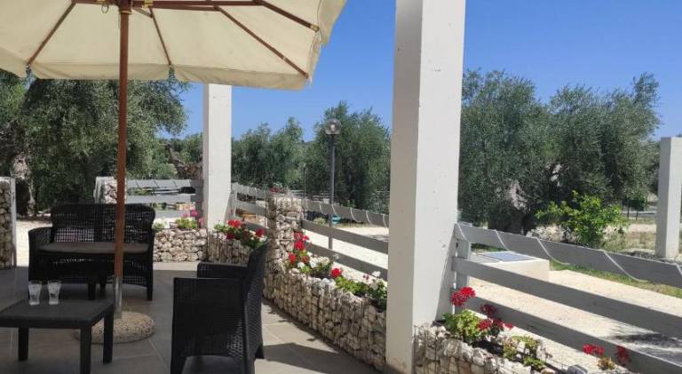 Farm with patio, pool & garden | Dogs allowed — photo 3
