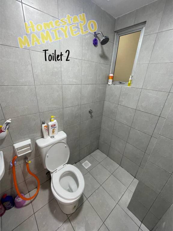 foto8