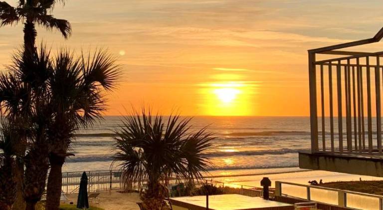 Sea Shells Beach Club — photo 3