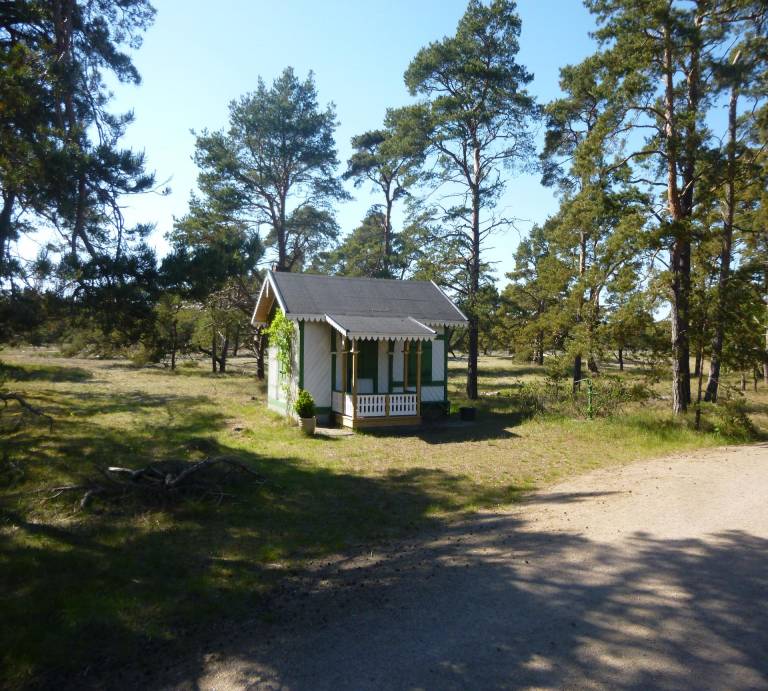 foto34
