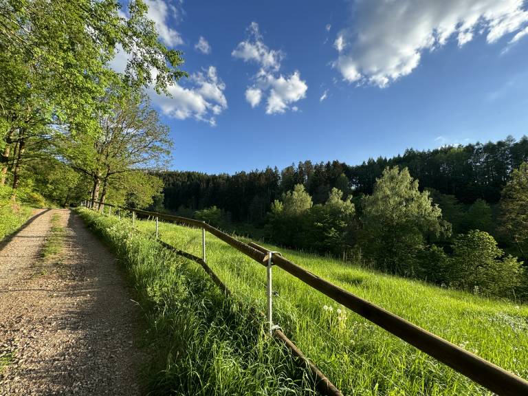 foto47
