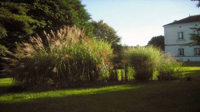 foto17