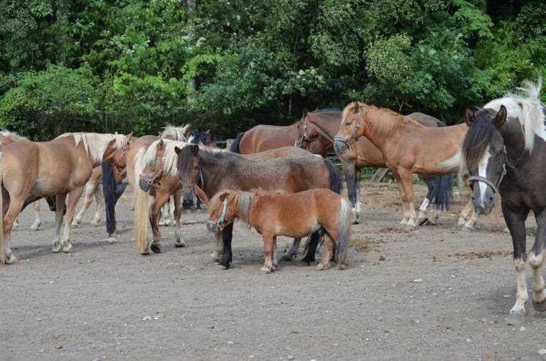 Appartement Weißenstadt