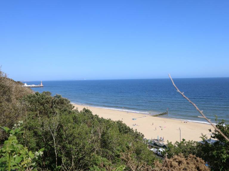 foto21