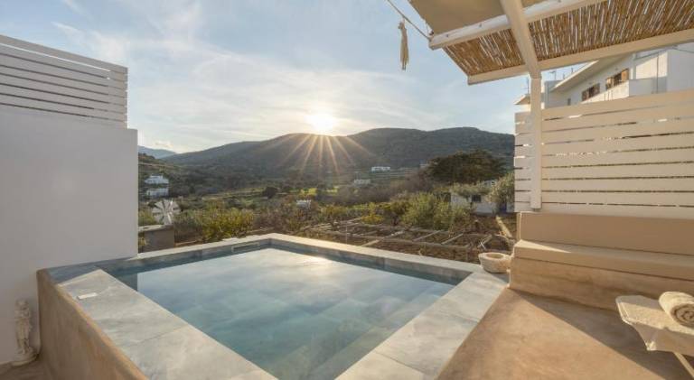 Anneta's House - Cycladic Home with Pool, Paros in Paros