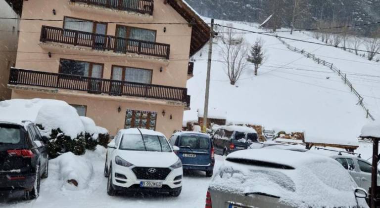 Pensiunea Bradul, Moieciu de Sus in Brasov