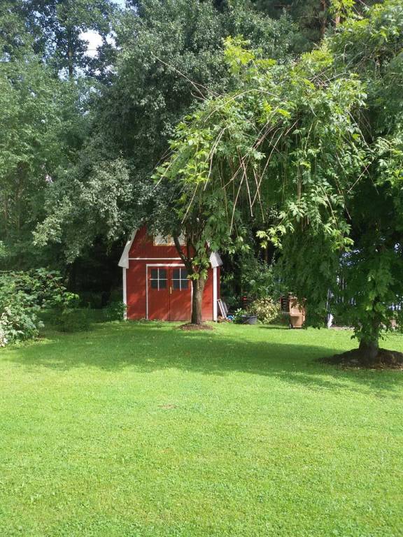 foto11