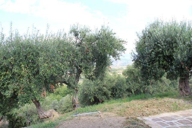 foto16
