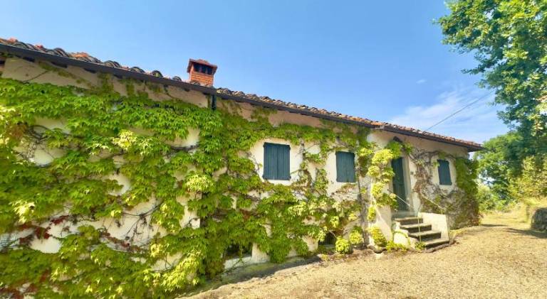 Villa with 4 rooms for 8 persons in Reggello