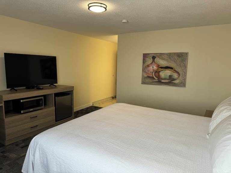 Motel Viking