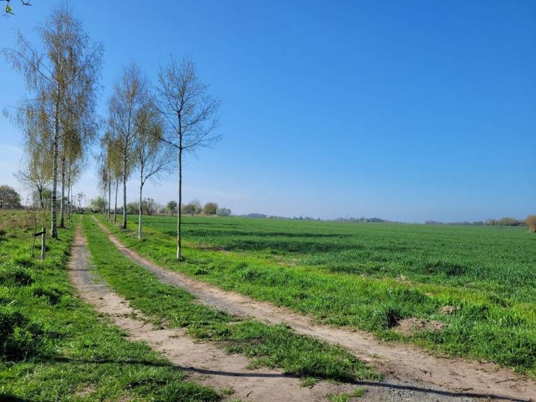 foto28