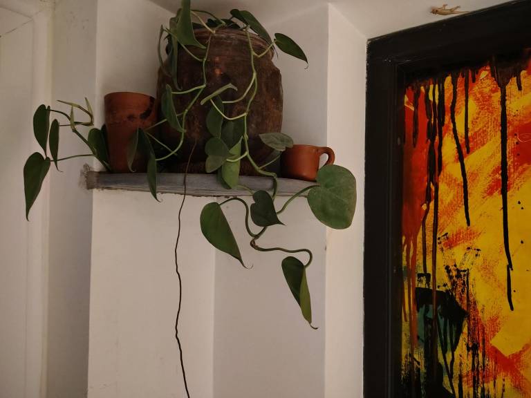 foto33