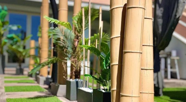 Bellavista luxury apartments — photo 4