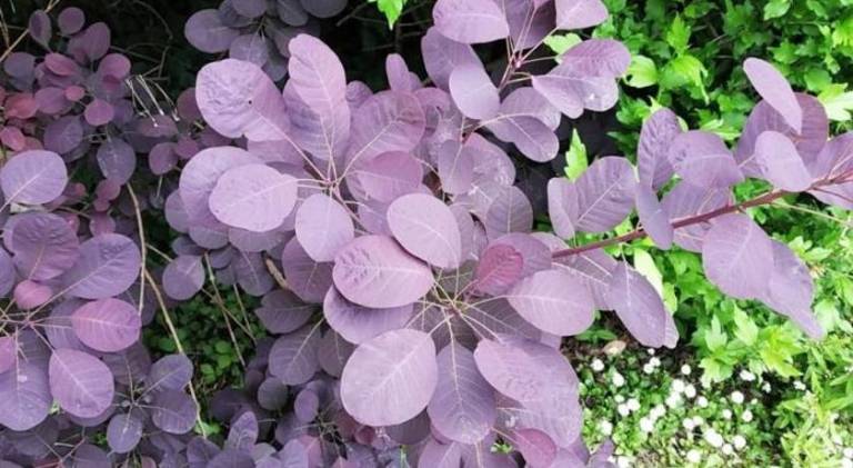 Apartment  Busto Arsizio