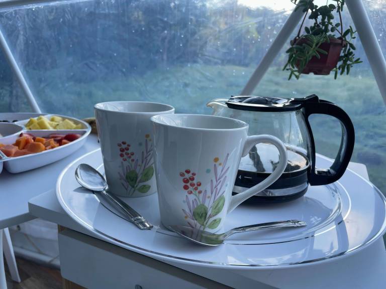 La Comarca River Glamping Dome — photo 3