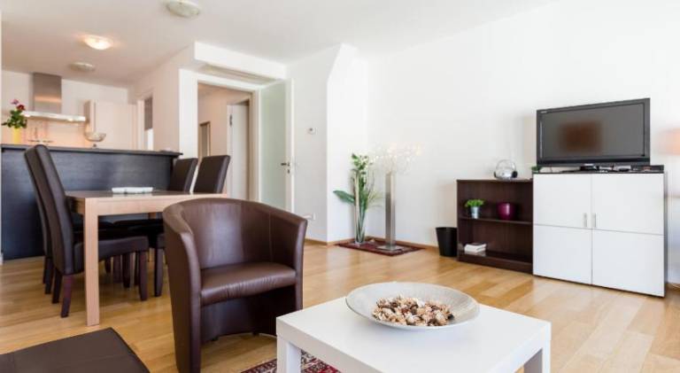 Nice serviced apartment with terrace | Near St. Stephen's Cathedral | Dogs allowed — photo 2