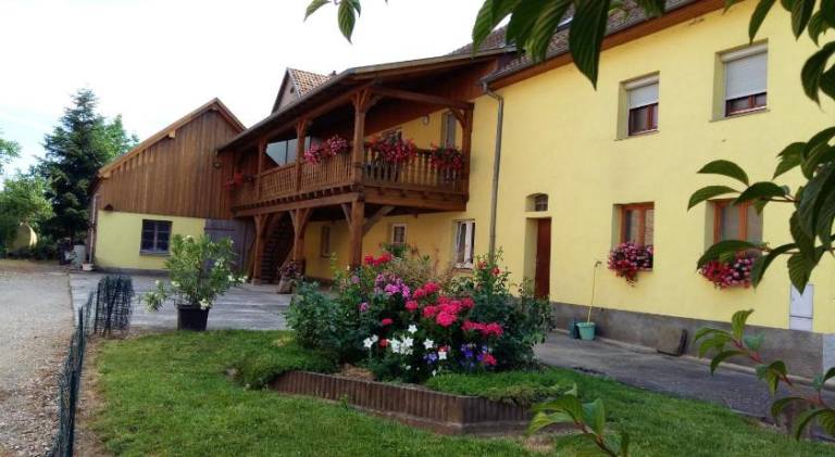 foto4