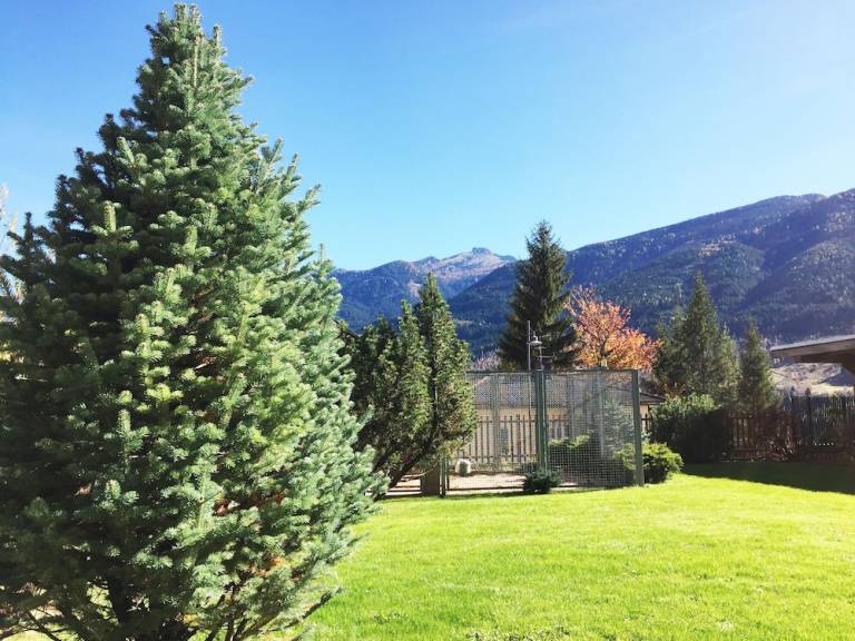 Appartamento Tesero